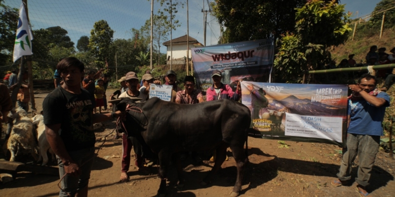 Keunggulan Qurban di YDSF