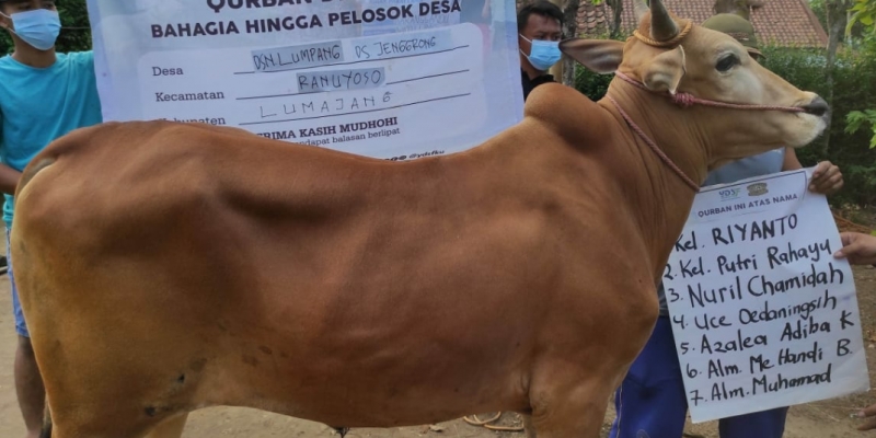 Meraih Qurban Terbaik | YDSF